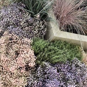 Meet your Posher, Ellie